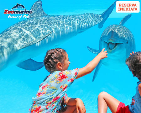 Bilhetes para o Zoomarine | Descubra o Mistério dos Oceanos em Família! Algarve