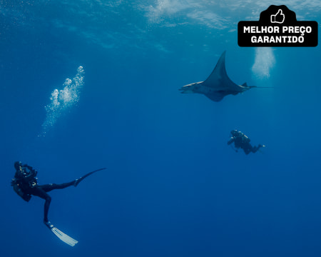 Baptismo de Mergulho nas Águas da Madeira - 1 ou 2 Pessoas | Azul Diving - Funchal