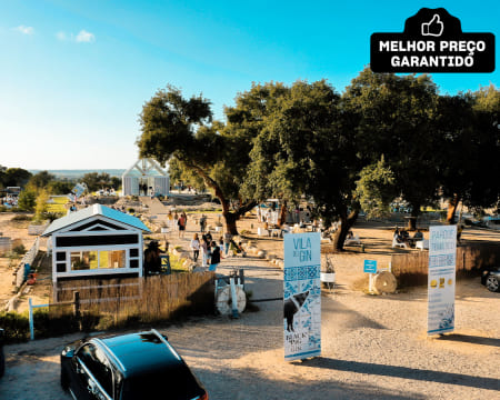 Degustação de Gin Black Pig a Dois & Opção de Visita à Destilaria | Santiago do Cacém