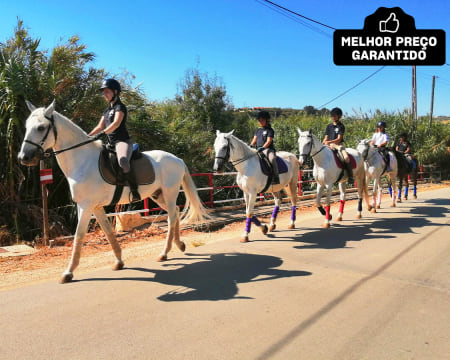 Experiência Equestre - Baptismo ou Passeio a Cavalo | 1 ou 2 Pessoas | Vila Franca de Xira