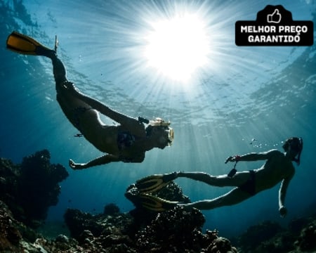 Snorkeling no Mar para Dois - Berlengas | JUSTDIVE