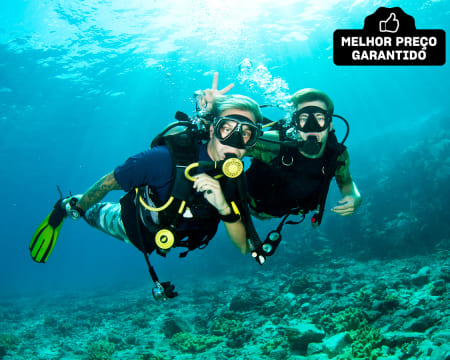 Baptismo de Mergulho de Mar nas Berlengas «Try Scuba Sea» | 1 ou 2 Pessoas | JUSTDIVE