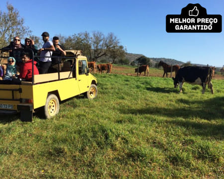 Jeep Safari com Guia para Dois com opção Almoço | Albufeira