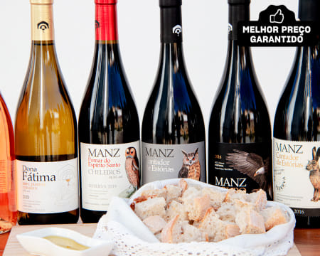 Prova de Vinhos Premium + Visita a Adega e Museu | 2 ou 4 Pessoas | 1h30 | Vila de Cheleiros - Mafra