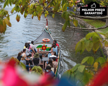 Passeio de Moliceiro na Ria de Aveiro | Criança ou Adulto | Descubra o Romance da Veneza Portuguesa!