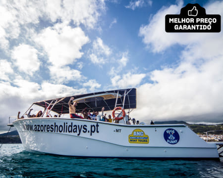Observação de Golfinhos e Baleias no Mar dos Açores - 1 ou 2 Pessoas | Ponta Delgada