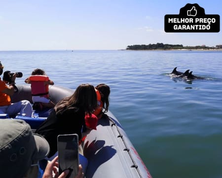 Passeio de Barco pela Baía de Setúbal c/ Observação de Golfinhos! Bilhete de Criança e Adulto - 2 Horas