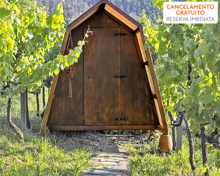 Cimo da Vinha | 1 Noite com Jantar em Tenda Glamping Cimo da Vinha | 1 Noite com Jantar em Tenda Glamping
