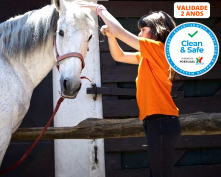 Baptismo a Cavalo + Visita à Quinta + Piquenique para Dois | 2h30 | Aveiro