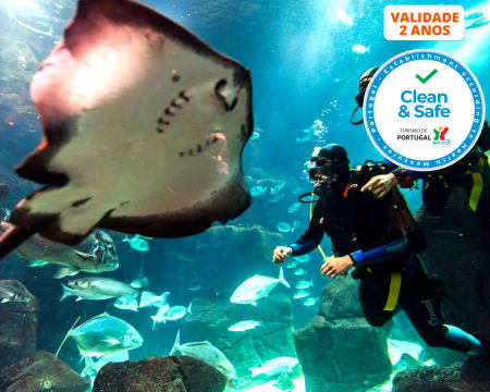 Mergulho nas Piscinas Naturais de Porto Moniz e Aquário da Madeira + Visita Guiada | 1 ou 2 Pessoas