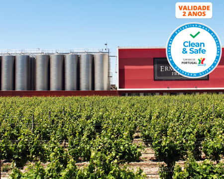Visita às Vinhas & Prova de Vinhos c/ Degustação de Produtos Típicos - 1 ou 2 Pessoas | Casa Ermelinda Freitas