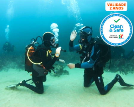 Baptismo de Mergulho nas Berlengas com GoPro e Oferta de Cartão Micro SD 8GB