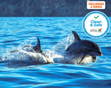 Passeio de Barco pela Rota dos Golfinhos para Dois | Parque Natural da Arrábida & Península de Tróia