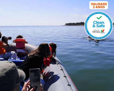 Passeio de Barco pela Baía de Setúbal c/ Observação de Golfinhos! Bilhete de Criança e Adulto - 2 Horas