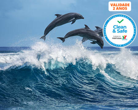 Passeio de Barco em Sesimbra com Rota Temática à Escolha | 1 ou 2 Pessoas