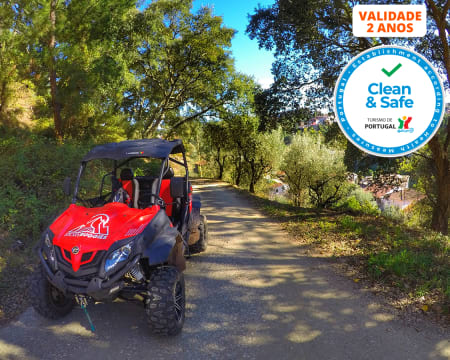 Passeio de Buggy Todo-o-Terreno para 2 Pessoas | Storybuggies - Anadia