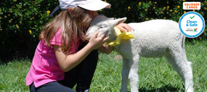 Baptismo a Cavalo + Visita à Quinta + Piquenique para Dois | 2h30 | Aveiro