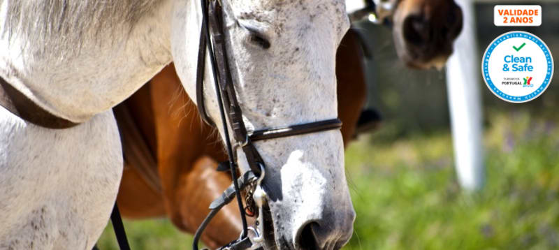 Baptismo a Cavalo + Visita à Quinta + Piquenique para Dois | 2h30 | Aveiro