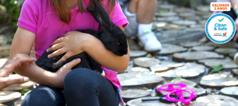 Baptismo a Cavalo + Visita à Quinta + Piquenique para Dois | 2h30 | Aveiro