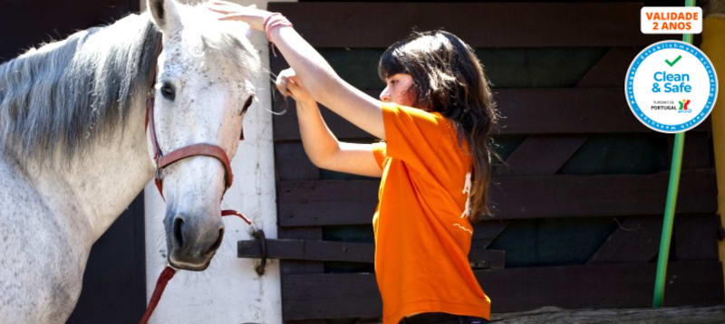Baptismo a Cavalo + Visita à Quinta + Piquenique para Dois | 2h30 | Aveiro