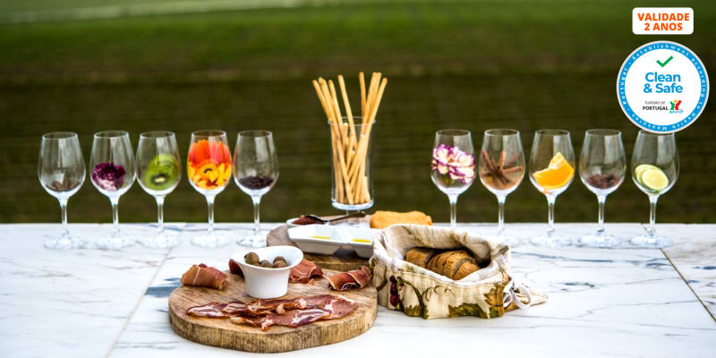 Visita à Adega Mayor com Prova de Vinhos ou Workshop Vínico | 1 ou 2 Pessoas | Campo Maior