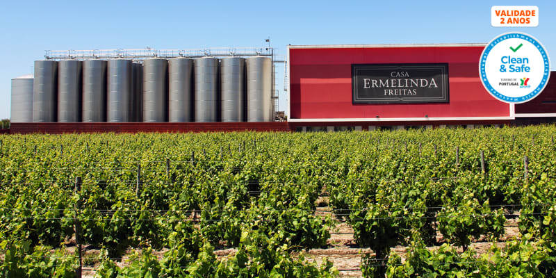 Visita às Vinhas & Prova de Vinhos c/ Degustação de Produtos Típicos - 1 ou 2 Pessoas | Casa Ermelinda Freitas