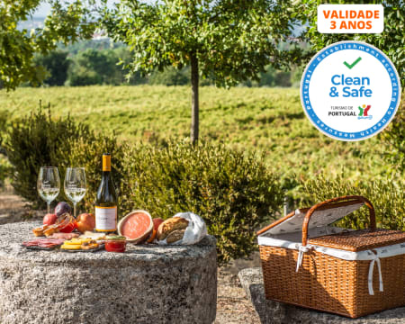 Visita à Adega + Prova de Vinhos com Opção de Degustação de Petiscos Regionais  | Viseu