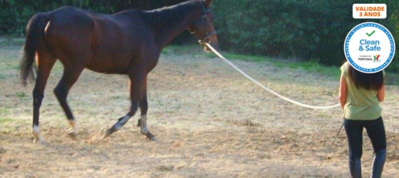 Dia Romântico na Quinta & Almoço para Dois & Iniciação ou Passeio a Cavalo | Alenquer
