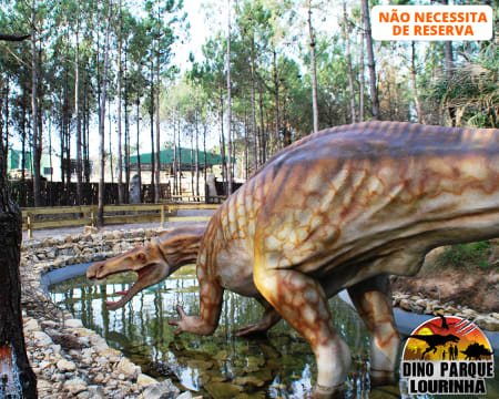 Dino Parque da Lourinhã - Uma Viagem de 400 Milhões de Anos! Entrada Criança ou Adulto