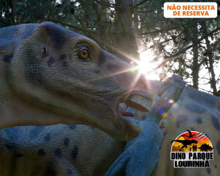 Dino Parque da Lourinhã - Uma Viagem de 400 Milhões de Anos! Entrada Criança ou Adulto