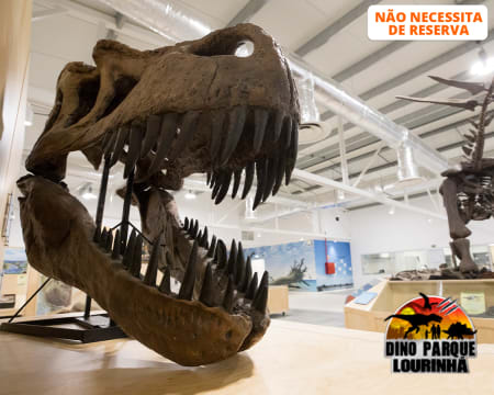 Dino Parque da Lourinhã - Uma Viagem de 400 Milhões de Anos! Entrada Criança ou Adulto