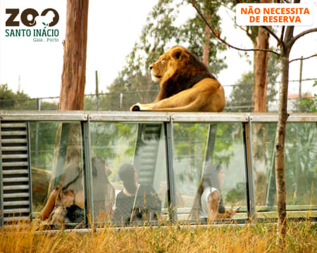 Entrada no Zoo Santo Inácio | Grandes Emoções em Família no Maior Jardim Zoológico do Norte