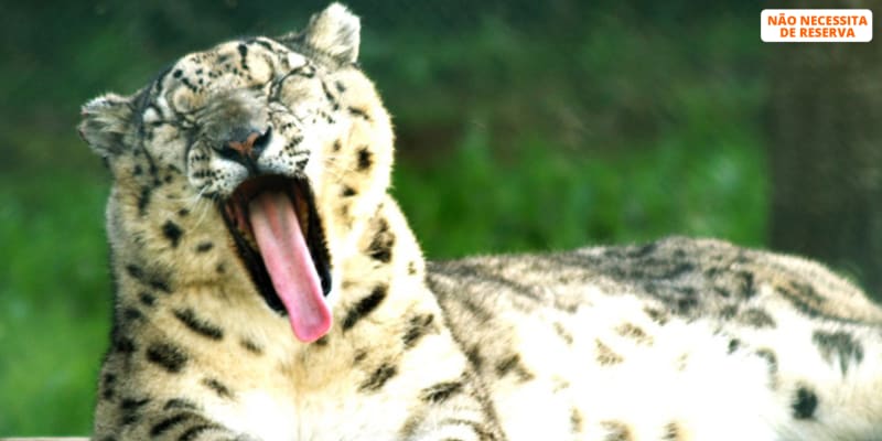 Entrada no Zoo Santo Inácio | Grandes Emoções em Família no Maior Jardim Zoológico do Norte