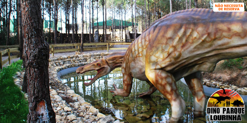 Dino Parque da Lourinhã - Uma Viagem de 400 Milhões de Anos! Entrada Criança ou Adulto