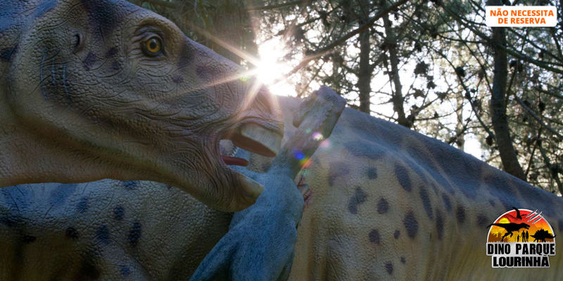 Dino Parque da Lourinhã - Uma Viagem de 400 Milhões de Anos! Entrada Criança ou Adulto