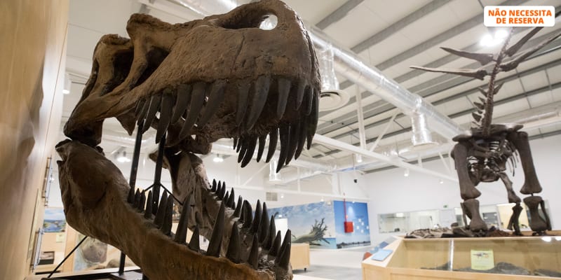 Dino Parque da Lourinhã - Uma Viagem de 400 Milhões de Anos! Entrada Criança ou Adulto