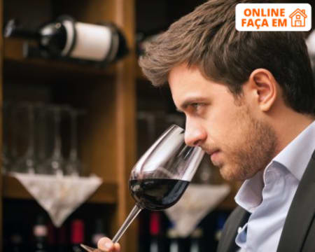 Para os Apreciadores de Vinho: Curso Online Enologia | Sociedade Digital Para os Apreciadores de Vinho: Curso Online Enologia | Sociedade Digital
