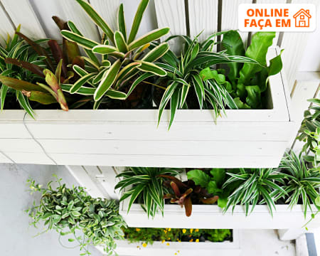 Curso Online de Iniciação à Jardinagem Vertical - 25 Horas | iLabora