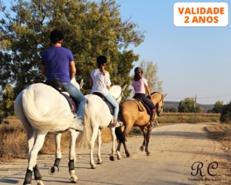 Passeio a Cavalo na Golegã | 1 Hora na Natureza para 1 ou 2 Pessoas