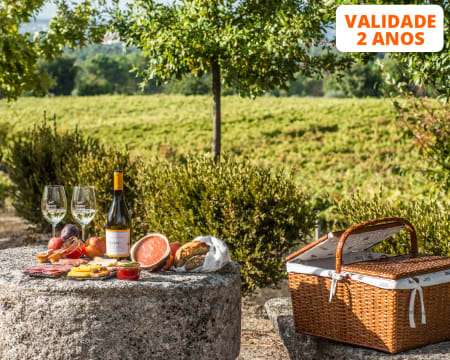Visita à Adega + Prova de Vinhos com Opção de Degustação de Petiscos Regionais  | Viseu