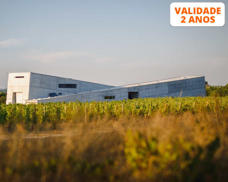 Peddy Paper na Vinha ou Jogo dos Aromas - Até 8 Pessoas! Caminhos Cruzados - Viseu