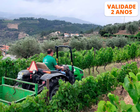 Experiência de Condução de Tractor com Alfaia Agrícola para 1 ou 2 Pessoas | Viseu
