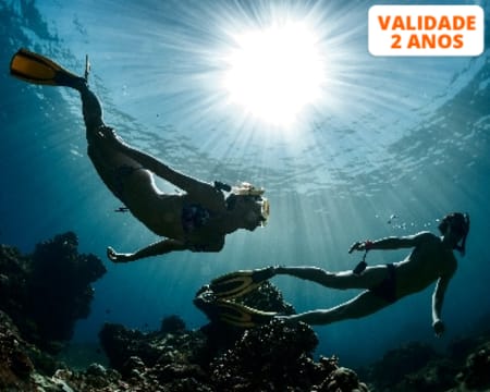 Snorkeling no Mar para Dois - Berlengas | JustDive Underwater Experiences