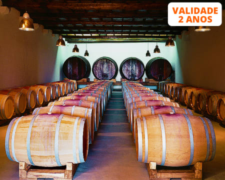 Visita à Adega e Vinhas c/ Prova de Vinhos e Petiscos para Dois |  Alenquer