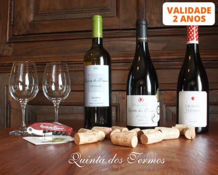 Visita à Adega & Prova de Vinhos | 1 ou 2 Pessoas | Quinta dos Termos  - Belmonte