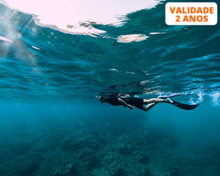 Mergulho no Mar de Sesimbra com Passeio de Barco | 1 ou 2 Pessoas | Anthia Diving Center