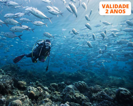 Baptismo de Mergulho | Scorpio Madeira Diving Center | 1 ou 2 Pessoas