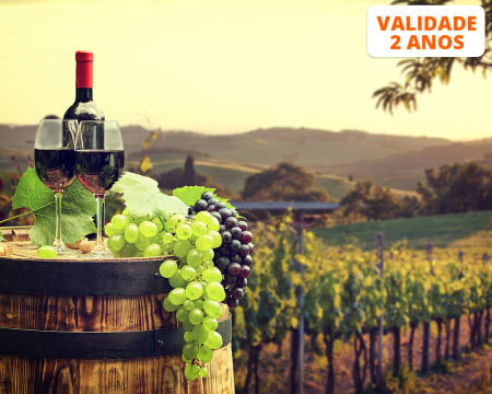 Visita à Adega + Prova de Vinhos c/ Degustação de Produtos Regionais | Casa Agrícola Nicolau - Lisboa