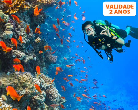 Snorkeling ou Baptismo de Mergulho na Madeira | 1 ou 2 Pessoas | Porto Santo SUB