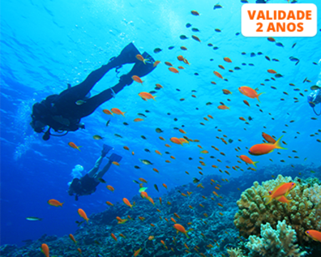 Baptismo de Mergulho nos Açores | 1 ou 2 Pessoas| Mantamaria Dive Center